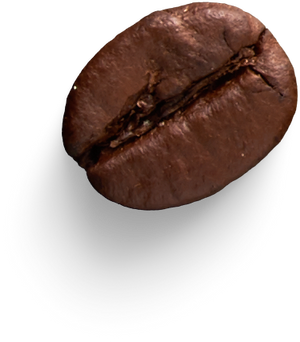 Isolated Cutout PNG